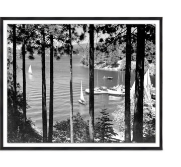 A Sailor’s Escape Among The Trees