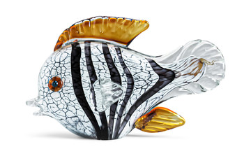 Glass Fish