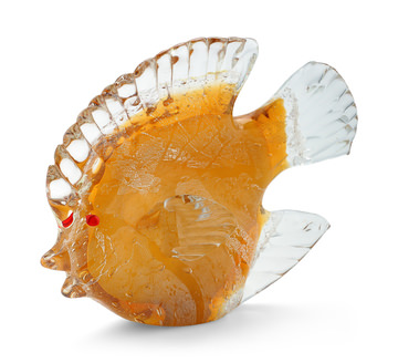 Glass Fish
