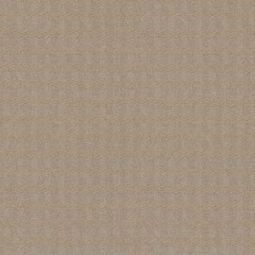 Anderson Tuftex Imagination - Silhouette