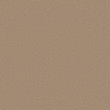 Anderson Tuftex Enduring Charm - Warm Sand