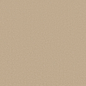 Anderson Tuftex Elegant Beauty - Papyrus