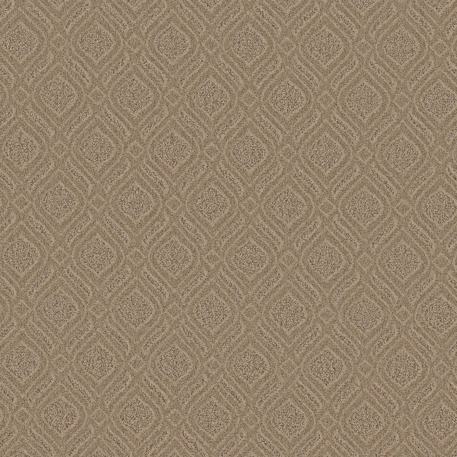 Anderson Tuftex Expressive - Windswept