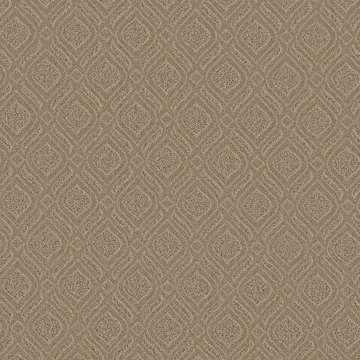 Anderson Tuftex Expressive - Windswept