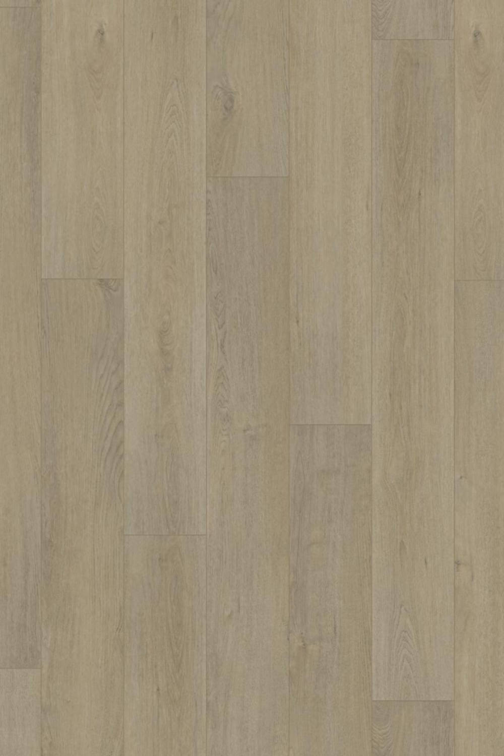 IFC Canyon Signature XL - Pisgah Oak