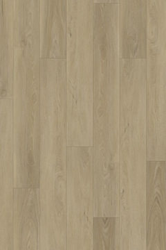 IFC Canyon Signature XL - Sweetwater Walnut