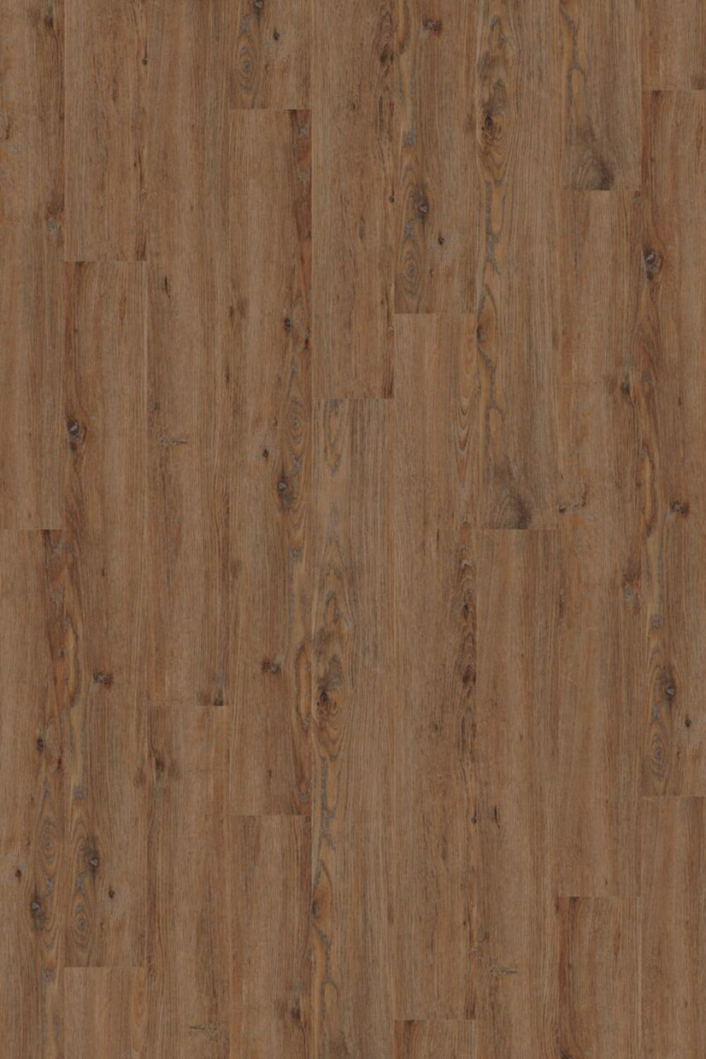 IFC Canyon Signature + Natural Edge - Auburn Oak