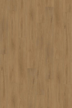 IFC Canyon Signature XL Natural Edge + - Montauk Oak