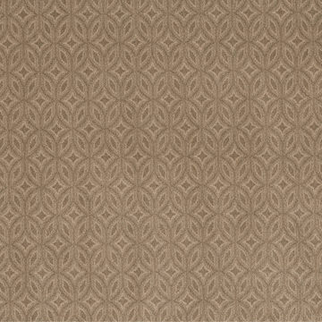 Anderson Tuftex Enlightened - Windswept