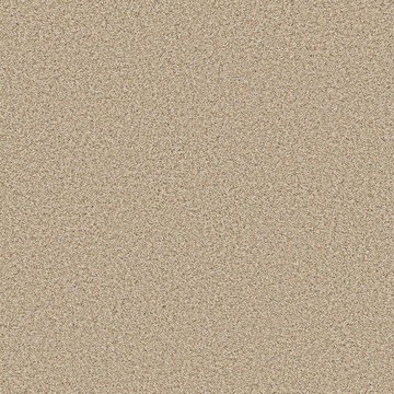 Anderson Tuftex Bossa Nova - Beach Grass