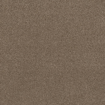 Anderson Tuftex Terra Nova - Joshua Tree