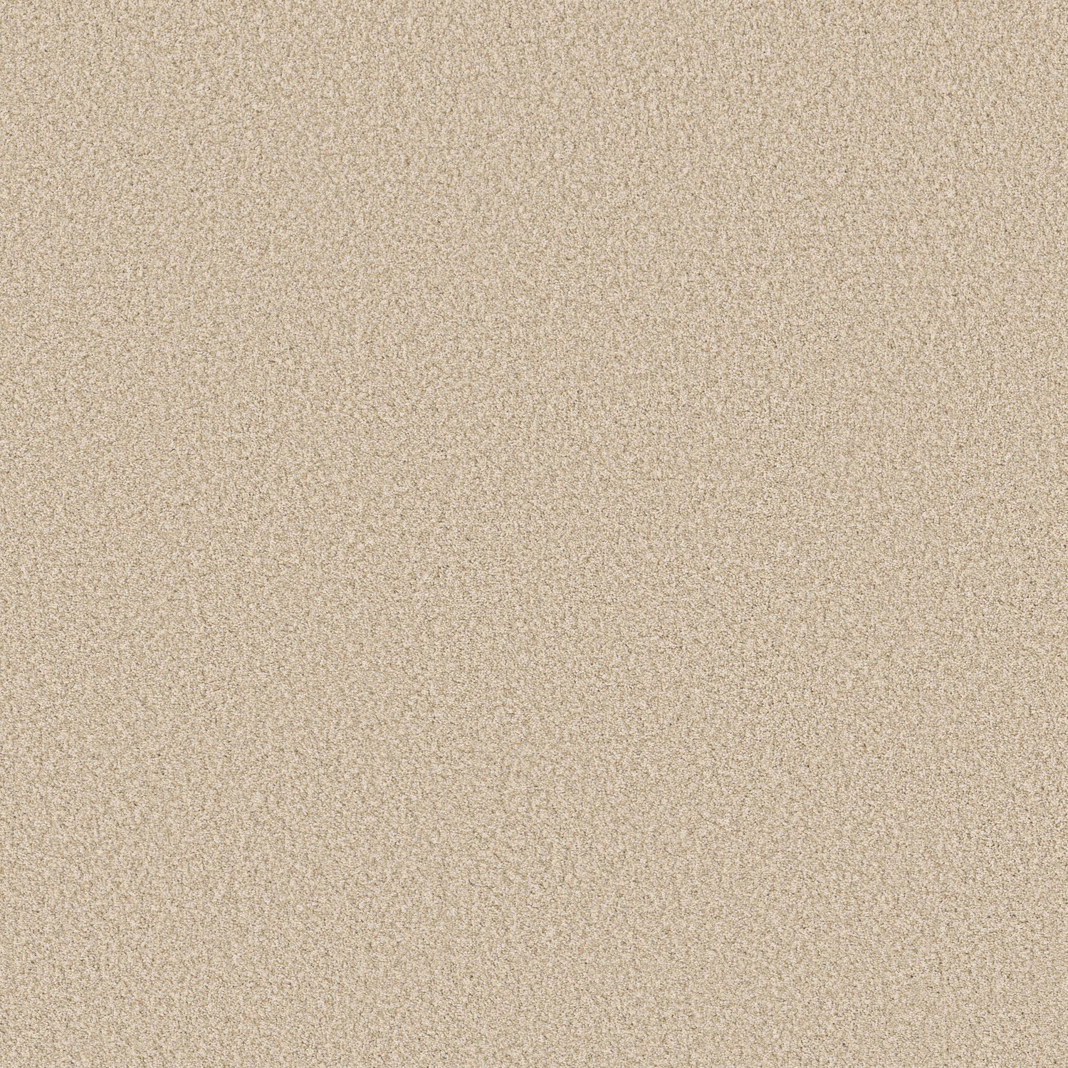 Anderson Tuftex Avalon Bay - Risotto