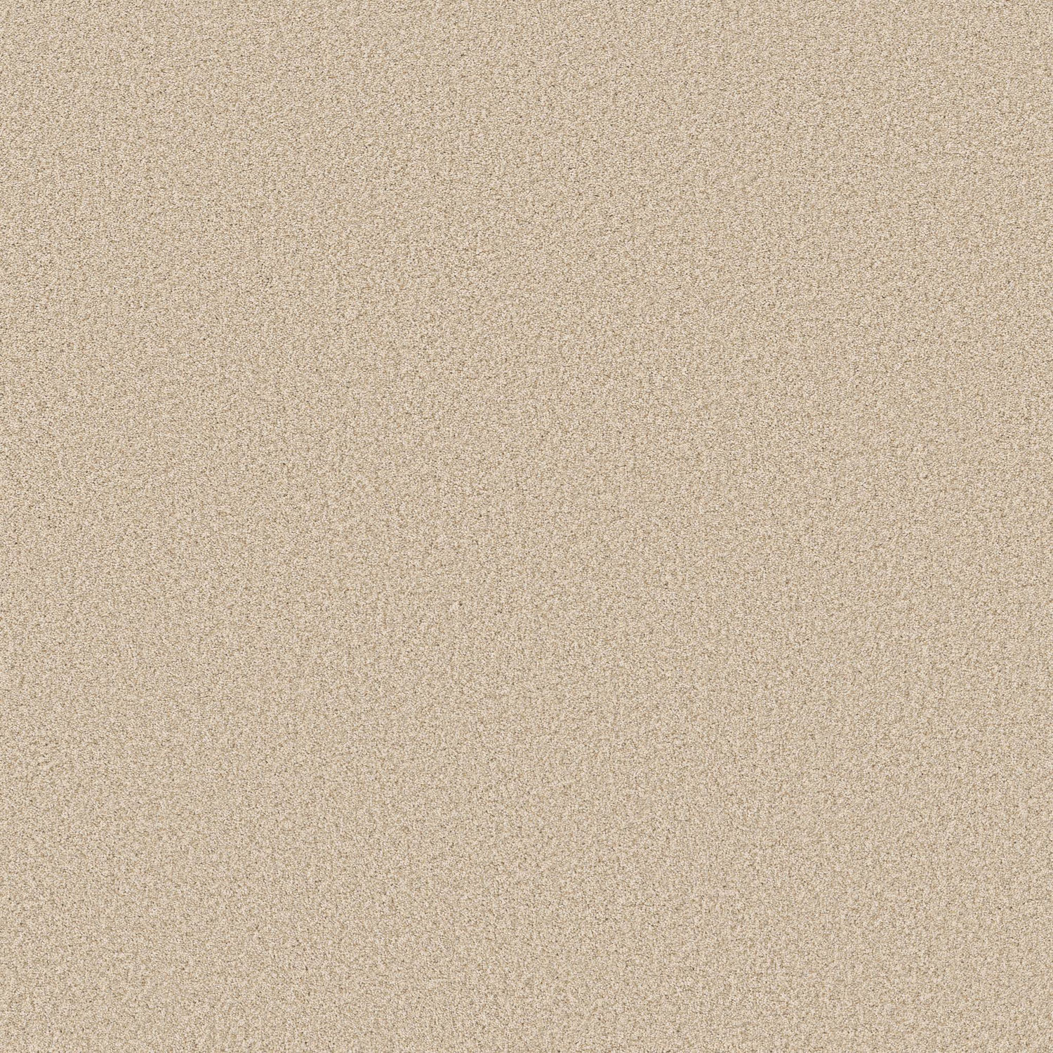 Anderson Tuftex Somerset - Risotto