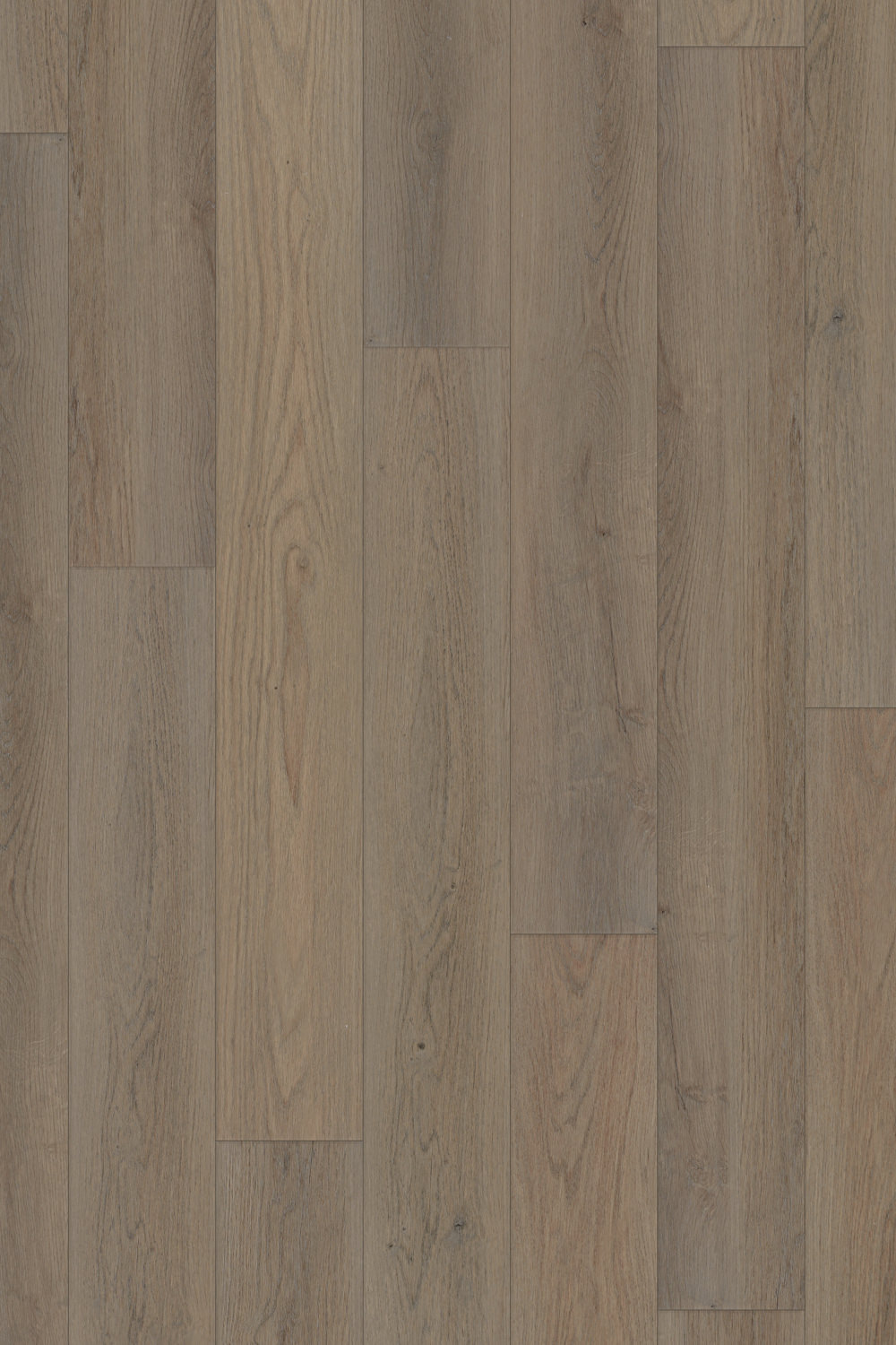 IFC Canyon Select+ Clermont Oak