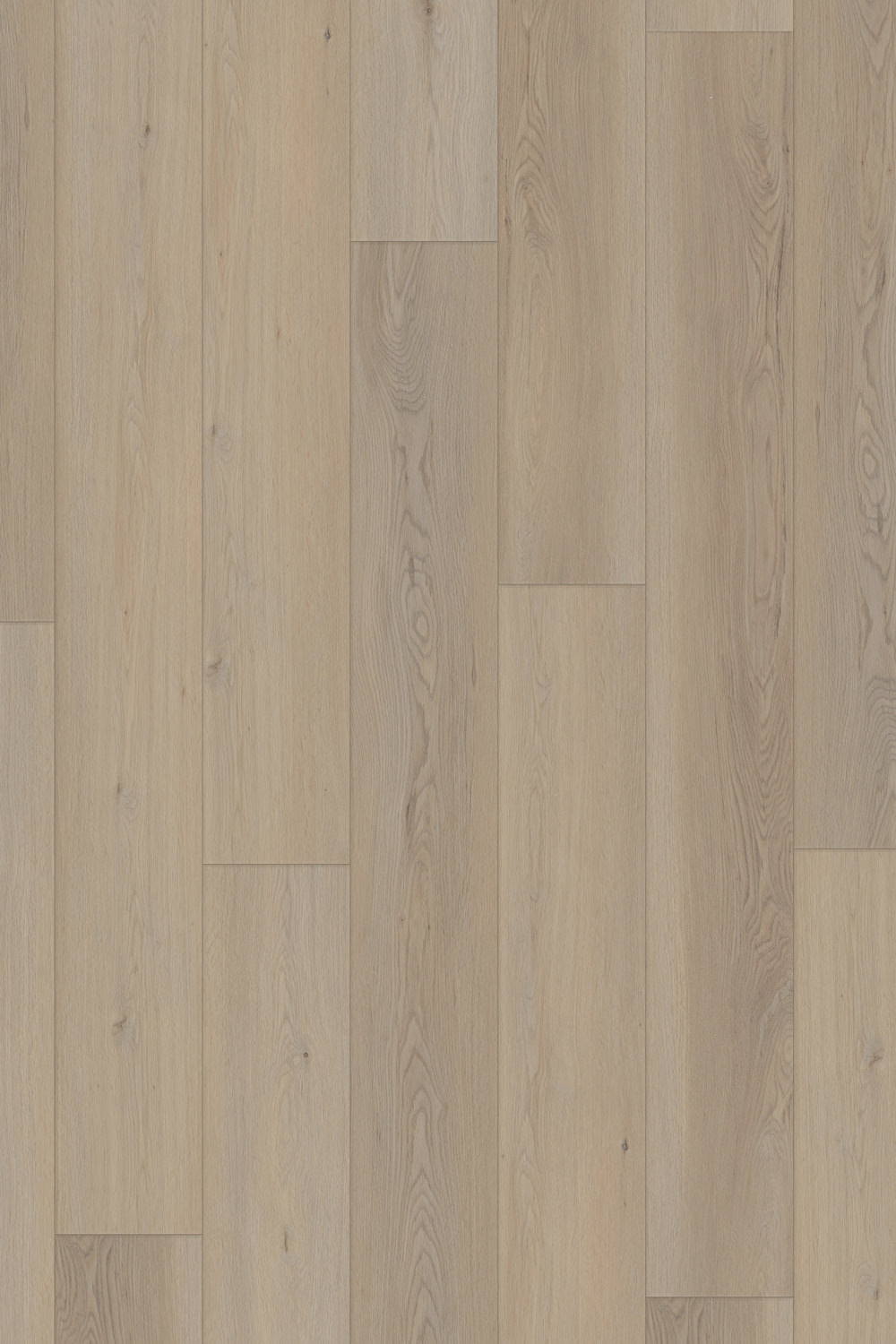 IFC Canyon Select XL - Colonial Oak
