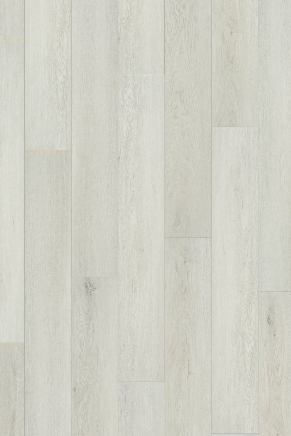 IFC Canyon Select - Belmont Oak