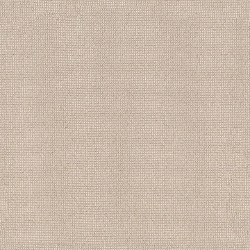 Anderson Tuftex Alluring - Papyrus