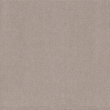 Anderson Tuftex Alluring - Gypsum