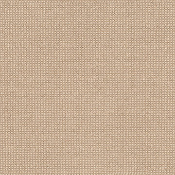 Anderson Tuftex Alluring - Straw