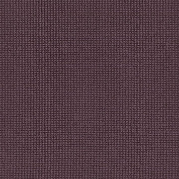 Anderson Tuftex Alluring - Plumwood