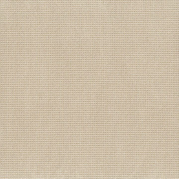 Anderson Tuftex Inspired - Papyrus