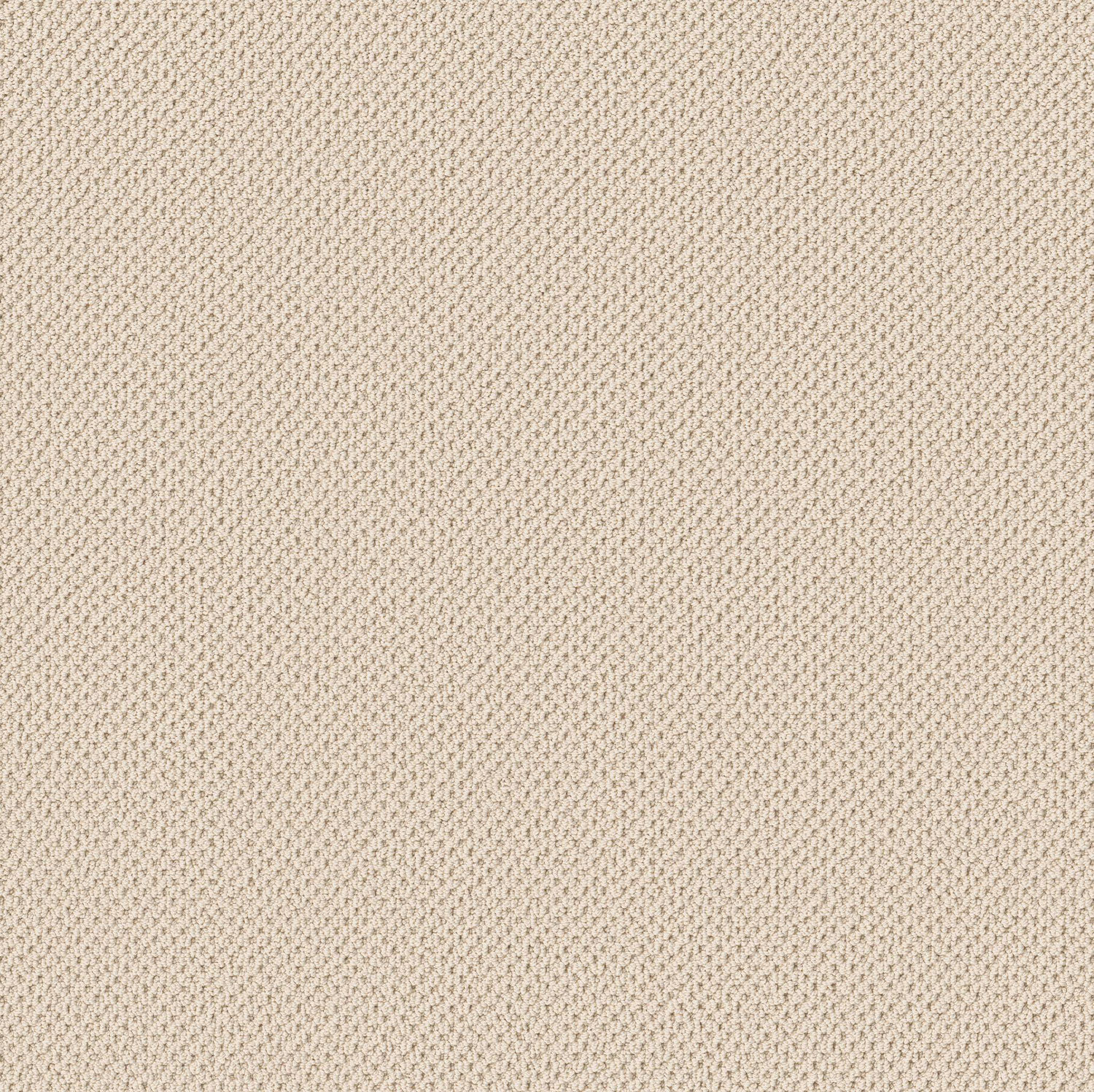 Anderson Tuftex Gracious - Ivory Paper
