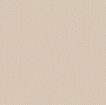 Anderson Tuftex Gracious - Ivory Paper