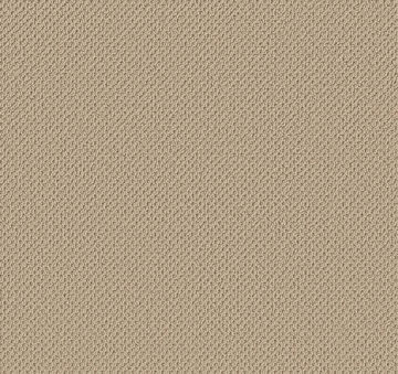 Anderson Tuftex Gracious - Shoreline