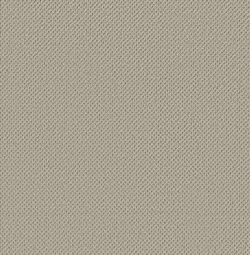 Anderson Tuftex Gracious - Pumice Stone