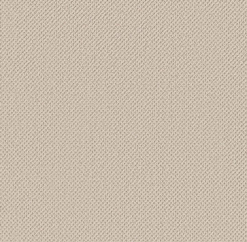 Anderson Tuftex Gracious - Alabaster