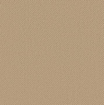 Anderson Tuftex Gracious - Golden Rule