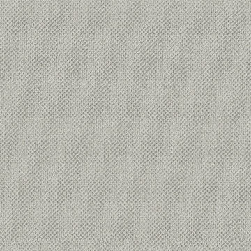 Anderson Tuftex Gracious - Silver Strand