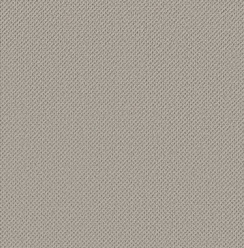 Anderson Tuftex Gracious - Mist