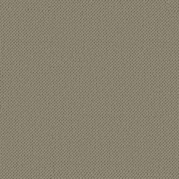 Anderson Tuftex Gracious - Mocha