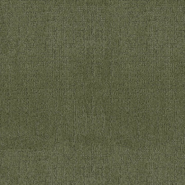 Anderson Tuftex Indulgent - Fern