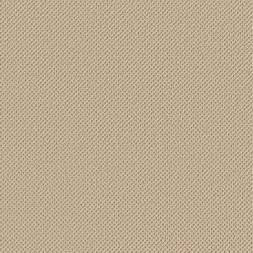 Anderson Tuftex Gracious - Bamboo