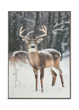 White Tail Deer Canvas Print