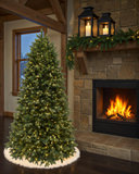 Highland Fir II 7.5′ Artificial Christmas Tree With 600 Multi Function LED Lights thumbnail 3