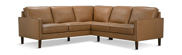 Roarke 2 Piece Leather Sectional
