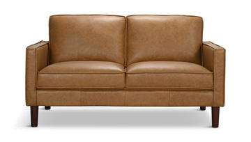 Roarke Leather Loveseat