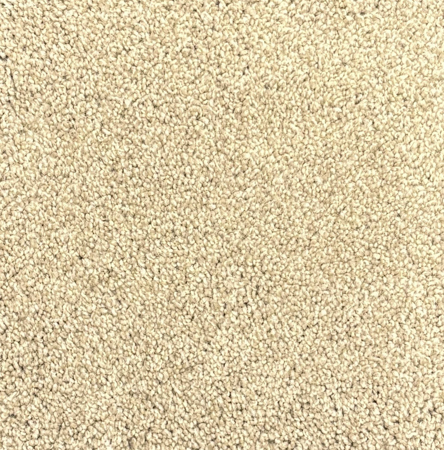 Shaw Top Notch Khaki Tweed