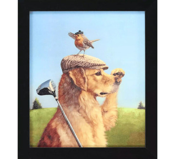 Lost Ball Framed Art