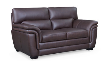 Arizona Leather Loveseat