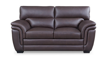 Arizona Leather Loveseat
