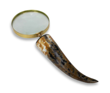 Abbott Magnify Glass