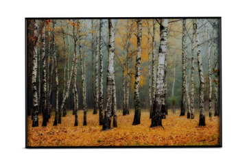 Rivers Framed Glass Art