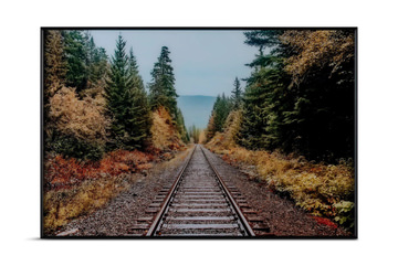 Autumn Tracks Framed Glass Art