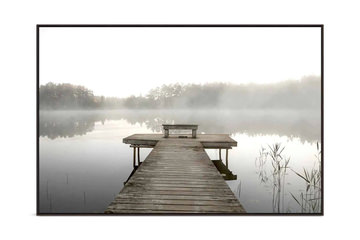 Branch Framed Glass Art