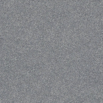 Shaw Your Comfort I - Dolphin Sighting