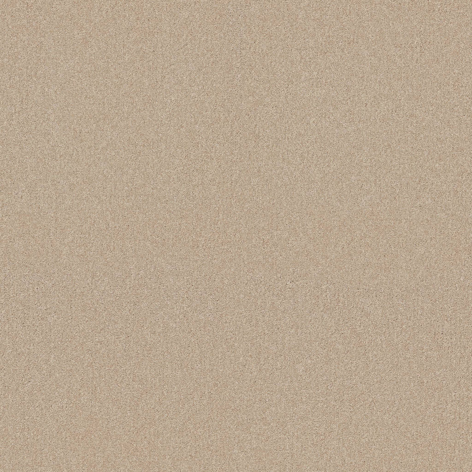 Shaw Your Comfort I - Sun Kissed